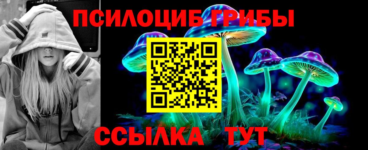 Псилоцибиновые грибы Cubensis Ессентуки