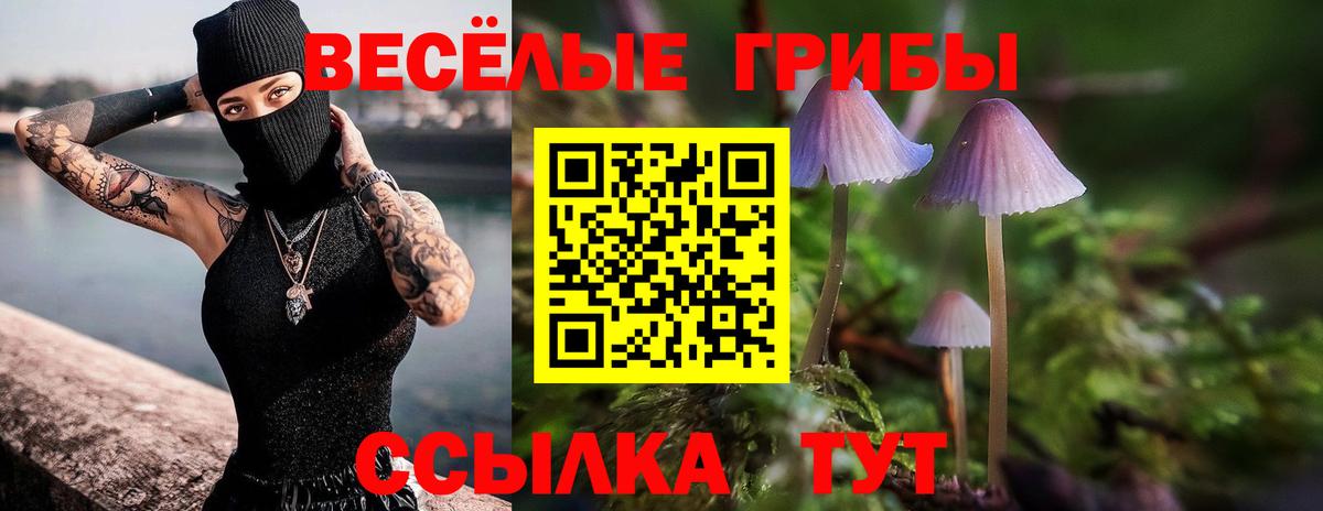Псилоцибиновые грибы Cubensis  Вход с VPN  Ессентуки 